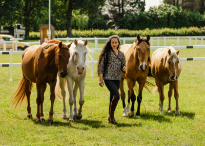 photo chevaux spectacle